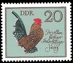 Porzellanfarbiger Zwerg